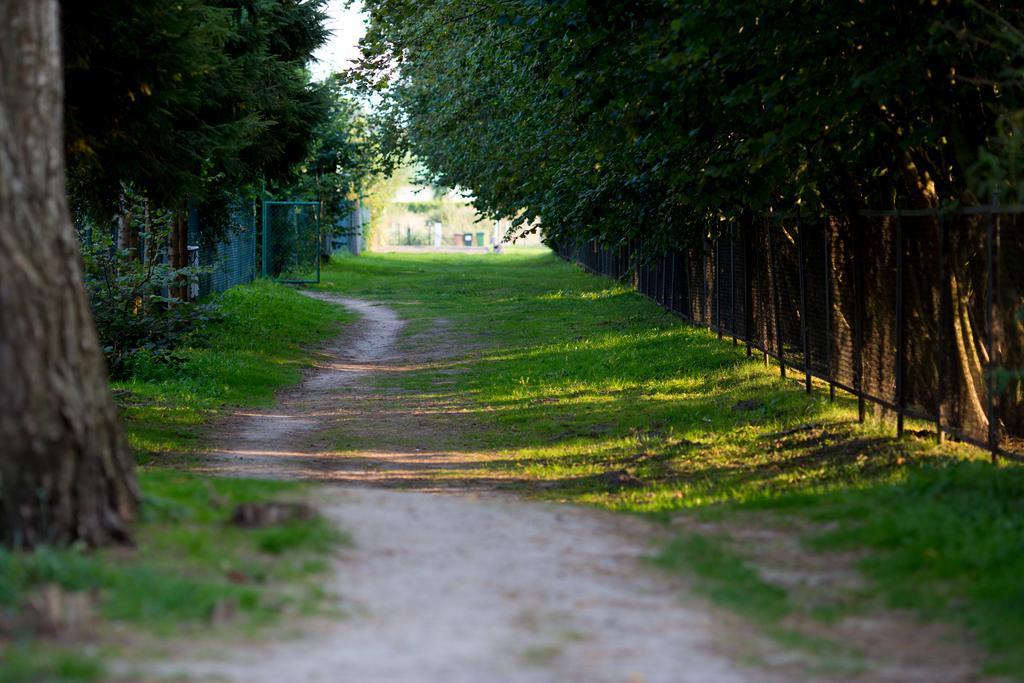 Osrodek Wypoczynkowy Klif I Villa Gąski Kültér fotó